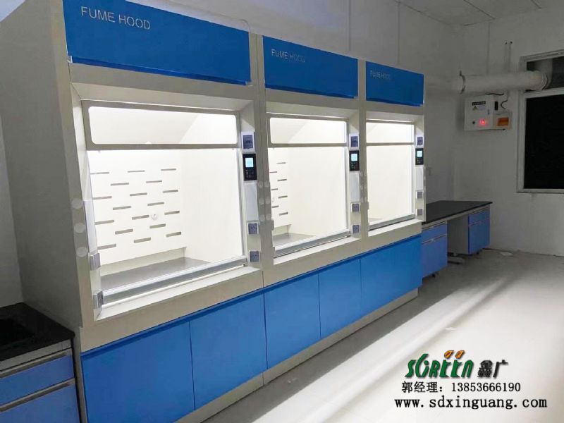 東營市山東大明環保工程技術有限公司實驗室邊臺、通風系統等實驗室家具安裝現場